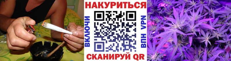 где купить наркоту  Гурьевск  Конопля Ganja 